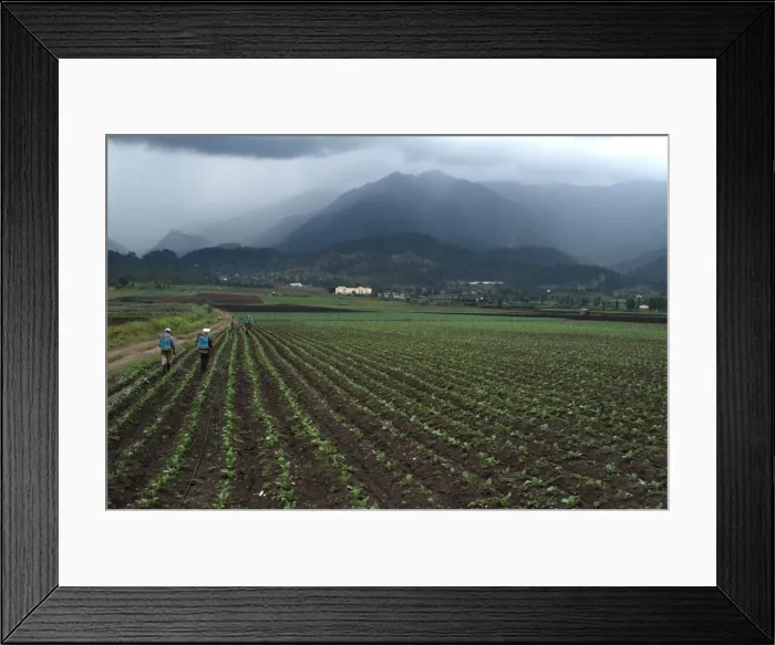 Framed Print : View of an agricultural valley near Constanza, Dominican Republic, Central America Framed Print : View of an agricultural valley near Constanza, Dominican Republic, Central America