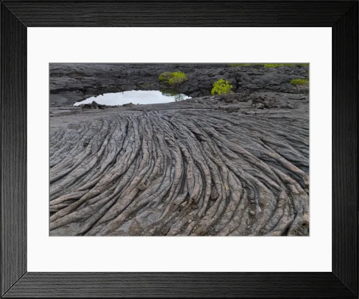 Framed Print : Lava flow, Fernandina Island, Galapagos Islands, UNESCO World Heritage Site, Ecuador, South America Framed Print : Lava flow, Fernandina Island, Galapagos Islands, UNESCO World Heritage Site, Ecuador, South America