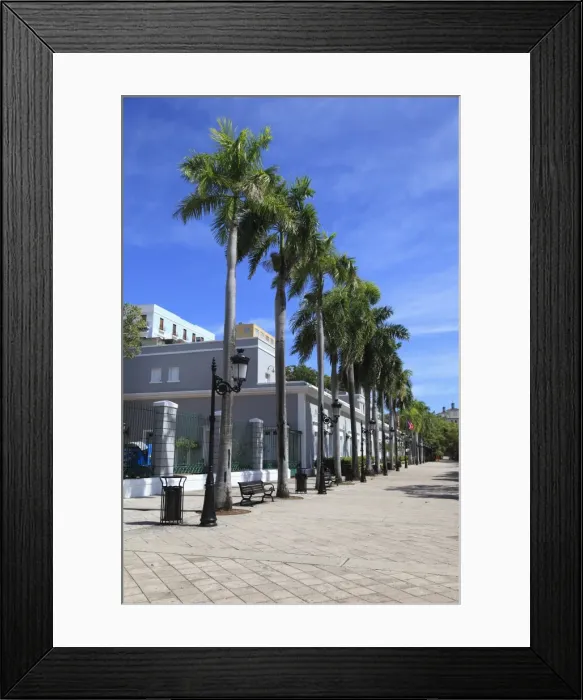 Framed Print : Paseo de la Princes (Walkway of the Princess), Old San Juan, San Juan, Puerto Rico, West Indies, Caribbean, United States of America, Central America Framed Print : Paseo de la Princes (Walkway of the Princess), Old San Juan, San Juan, Puerto Rico, West Indies, Caribbean, United States of America, Central America