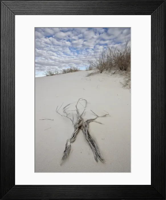 Framed Print : Twigs on the dunes, White Sands National Monument, New Mexico, United States of America, North America Framed Print : Twigs on the dunes, White Sands National Monument, New Mexico, United States of America, North America
