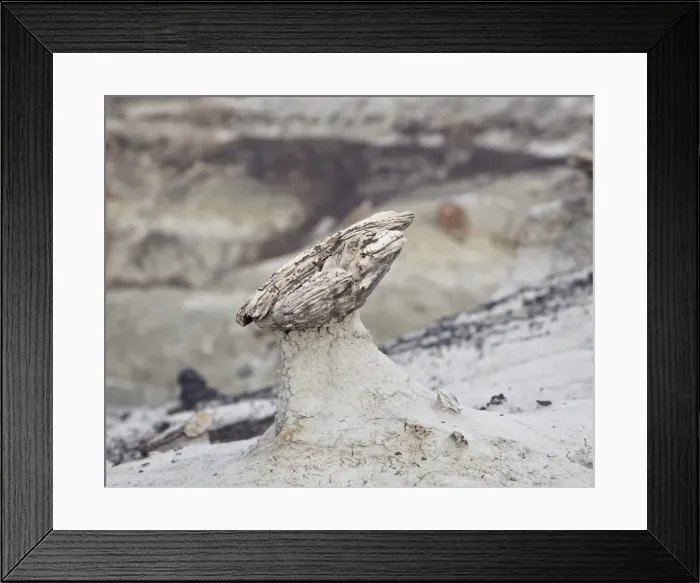 Framed Print : Hoodoo formed by a piece of petrified wood, San Juan Basin, New Mexico, United States of America, North America Framed Print : Hoodoo formed by a piece of petrified wood, San Juan Basin, New Mexico, United States of America, North America