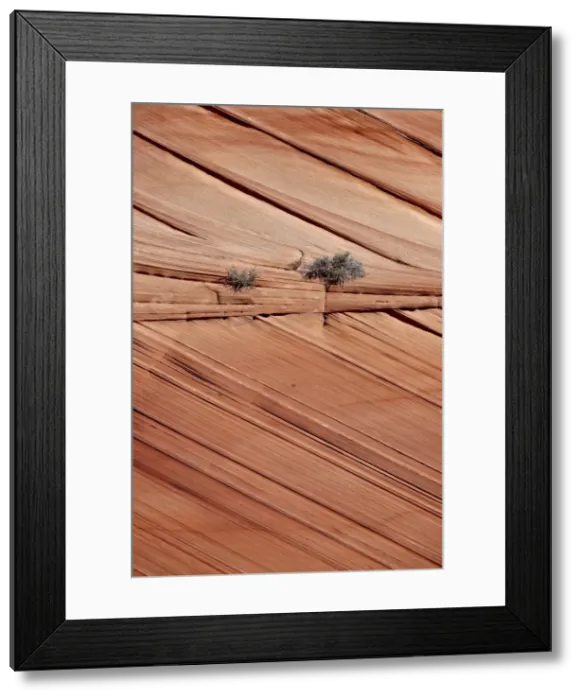 Framed Print : Sandstone layers, Vermillion Cliffs National Monument, Arizona, United States of America, North America Framed Print : Sandstone layers, Vermillion Cliffs National Monument, Arizona, United States of America, North America