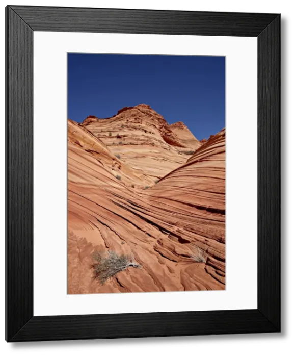 Framed Print : The Mini Wave formation, Coyote Buttes Wilderness, Vermillion Cliffs National Monument, Arizona, United States of America, North America