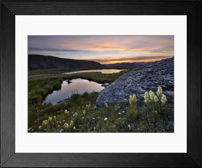 Framed Print : Sulphur Paintbrush and Alpine tarns at dawn, San Juan National Forest, Colorado, United States of America, North America Framed Print : Sulphur Paintbrush and Alpine tarns at dawn, San Juan National Forest, Colorado, United States of America, North America