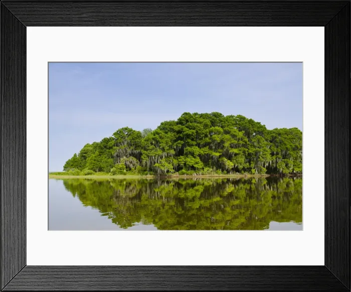 Framed Print : Everglades, UNESCO World Heritage Site, Florida, United States of America, North America Framed Print : Everglades, UNESCO World Heritage Site, Florida, United States of America, North America