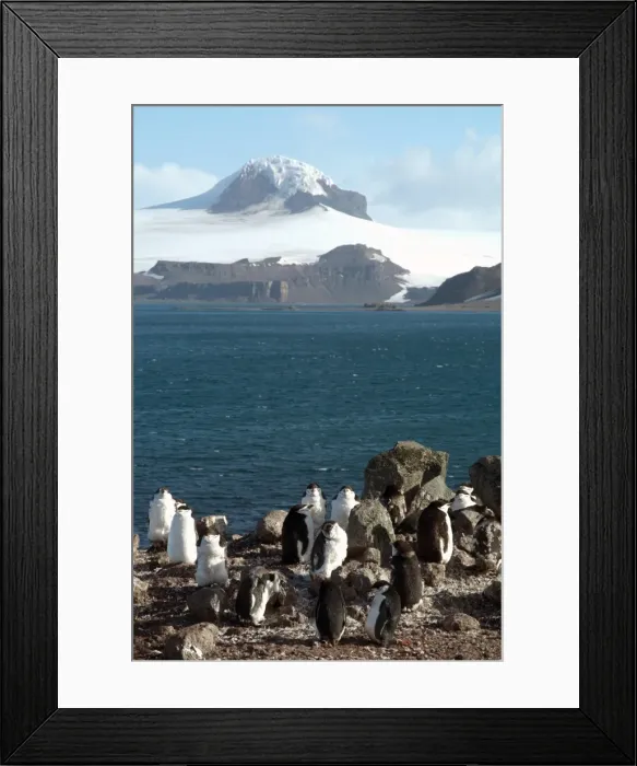 Framed Print : Aitcho Island, Antarctica, Polar Regions Framed Print : Aitcho Island, Antarctica, Polar Regions