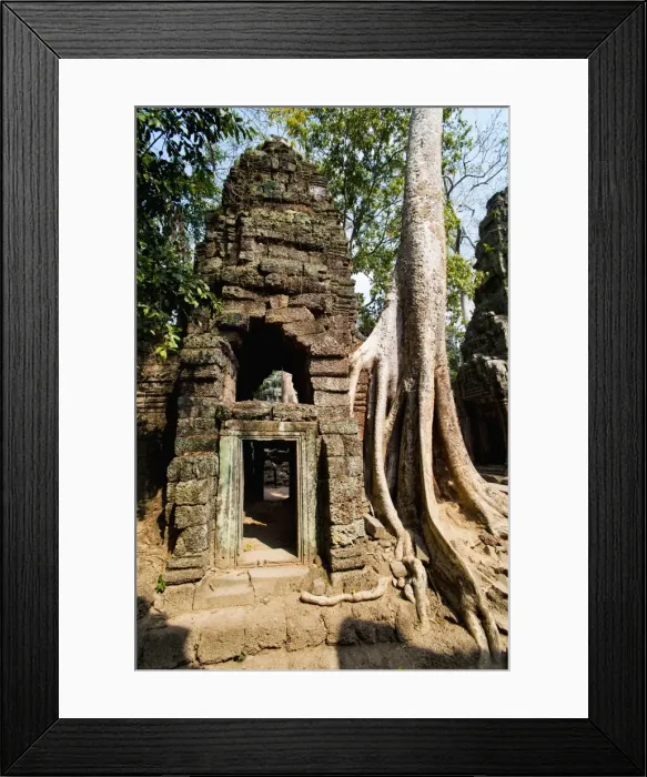 Framed Print : Overgrown roots and ruins at Ta Prohm Temple, Angkor Temples, UNESCO World Heritage Site, Siem Reap, Cambodia, Indochina, Southeast Asia, Asia Framed Print : Overgrown roots and ruins at Ta Prohm Temple, Angkor Temples, UNESCO World Heritage Site, Siem Reap, Cambodia, Indochina, Southeast Asia, Asia