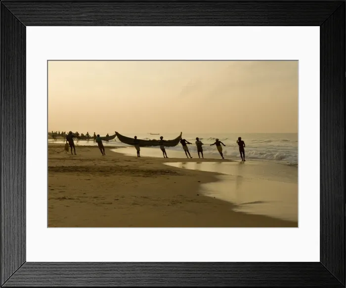 Framed Print : Fishermen hauling in nets at sunrise, Chowara Beach, near Kovalam, Kerala, India, Asia Framed Print : Fishermen hauling in nets at sunrise, Chowara Beach, near Kovalam, Kerala, India, Asia