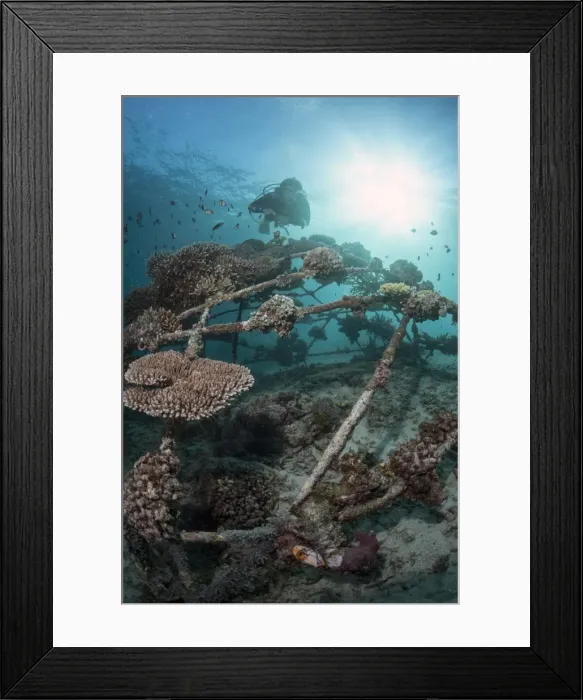 Framed Print : Coral encrusted biosphere in the marine reserve at Gangga Island, Sulawesi, Indonesia, Southeast Asia, Asia Framed Print : Coral encrusted biosphere in the marine reserve at Gangga Island, Sulawesi, Indonesia, Southeast Asia, Asia
