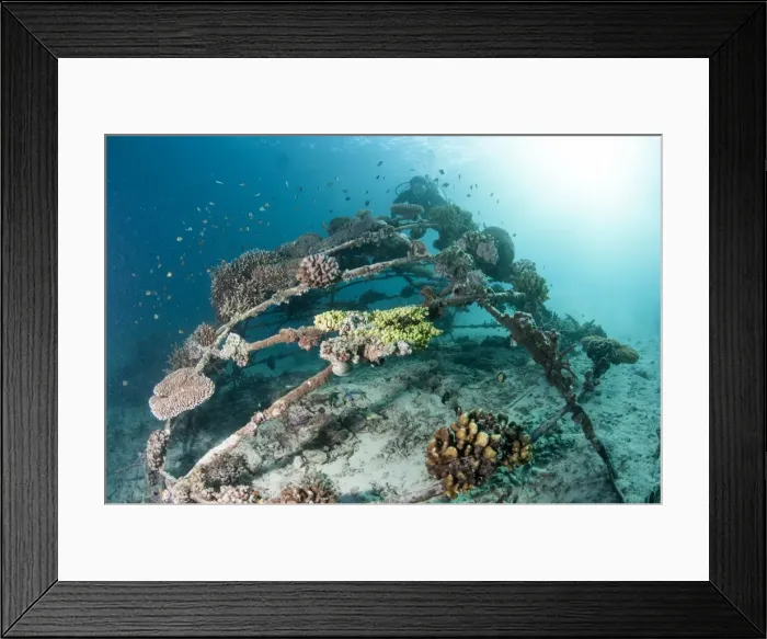 Framed Print : Coral encrusted biosphere in the marine reserve at Gangga Island, Sulawesi, Indonesia, Southeast Asia, Asia Framed Print : Coral encrusted biosphere in the marine reserve at Gangga Island, Sulawesi, Indonesia, Southeast Asia, Asia