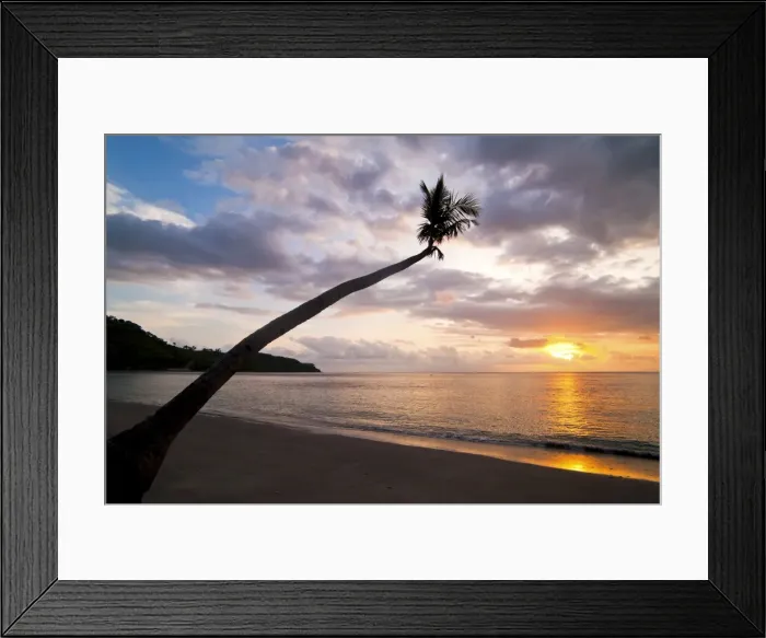 Framed Print : Overhanging palm tree at Nippah Beach at sunset, l Lombok Island, Indonesia, Southeast Asia, Asia Framed Print : Overhanging palm tree at Nippah Beach at sunset, l Lombok Island, Indonesia, Southeast Asia, Asia