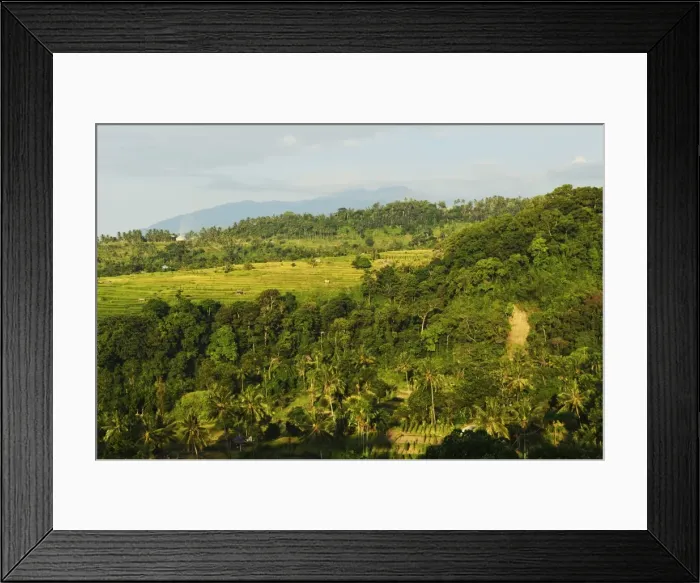 Framed Print : Rainforest and fields, Senaru, Lombok, Indonesia, Southeast Asia, Asia Framed Print : Rainforest and fields, Senaru, Lombok, Indonesia, Southeast Asia, Asia