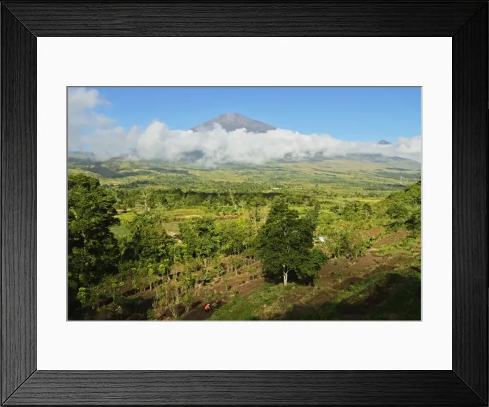 Framed Print : View of Mount Rinjani from Sembalun Lawang, Lombok, Indonesia, Southeast Asia, Asia Framed Print : View of Mount Rinjani from Sembalun Lawang, Lombok, Indonesia, Southeast Asia, Asia