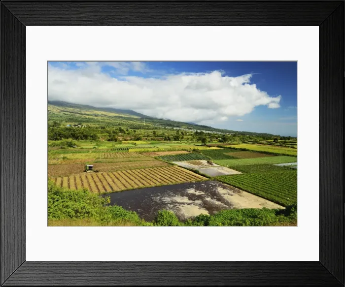 Framed Print : Rural landscape, near Sembalun Lawang, Lombok, Indonesia, Southeast Asia, Asia Framed Print : Rural landscape, near Sembalun Lawang, Lombok, Indonesia, Southeast Asia, Asia