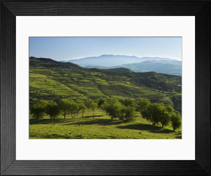 Framed Print : View over High Troodos Mountains to Mount Olympos, Troodos Mountains, Cyprus, Europe Framed Print : View over High Troodos Mountains to Mount Olympos, Troodos Mountains, Cyprus, Europe