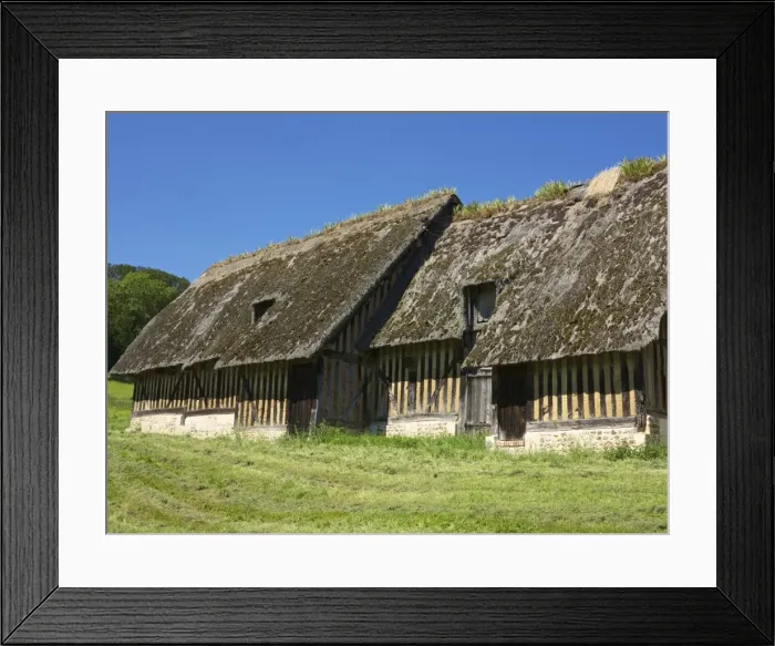 Framed Print : Typical ancient thatched and half timbered farm buildings in a meadow, Pierrefitte en Auge, Calvados, Normandy, France, Europe
