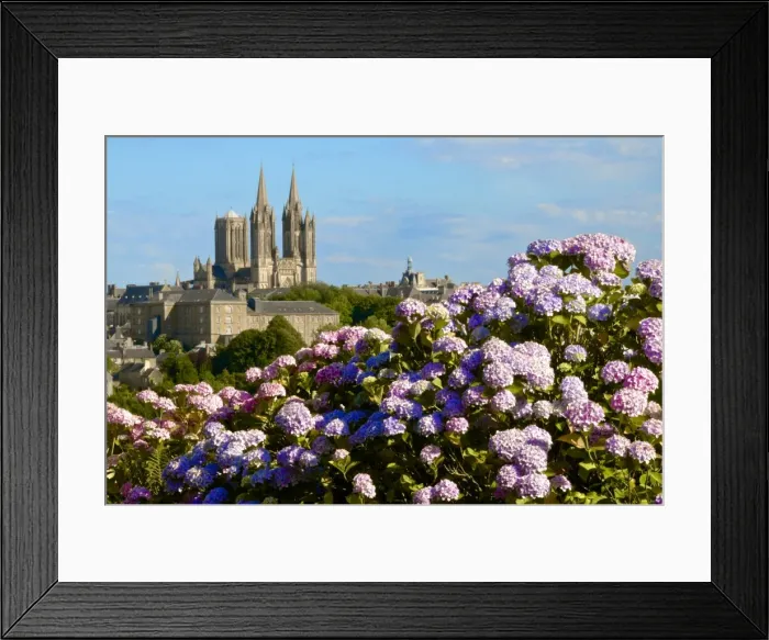 Framed Print : Panorama with pink and blue hydrangeas in the foreground and Notre Dame cathedral on the skyline of the town of Coutances, Cotentin, Normandy, France, Europe Framed Print : Panorama with pink and blue hydrangeas in the foreground and Notre Dame cathedral on the skyline of the town of Coutances, Cotentin, Normandy, France, Europe