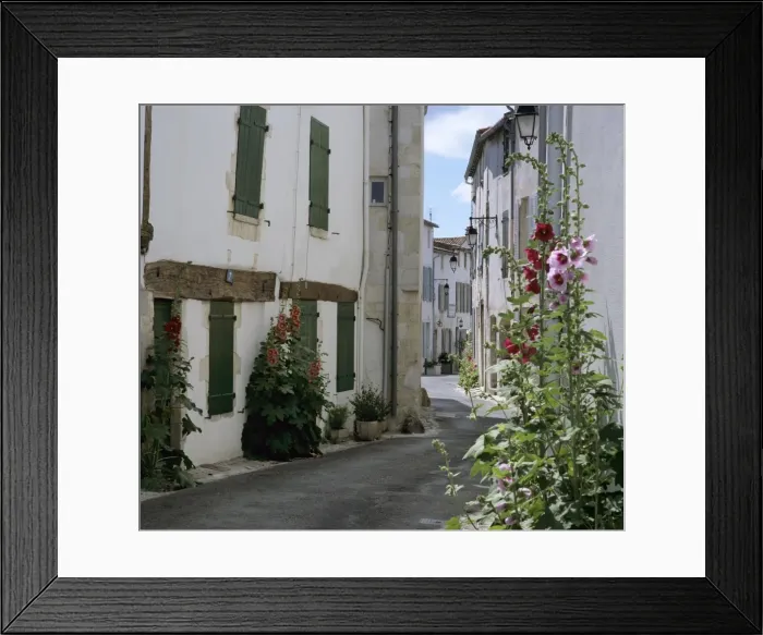 Framed Print : Typical street scene with Hollyhocks, St. Martin, Ile de Re, Poitou-Charentes, France, Europe Framed Print : Typical street scene with Hollyhocks, St. Martin, Ile de Re, Poitou-Charentes, France, Europe