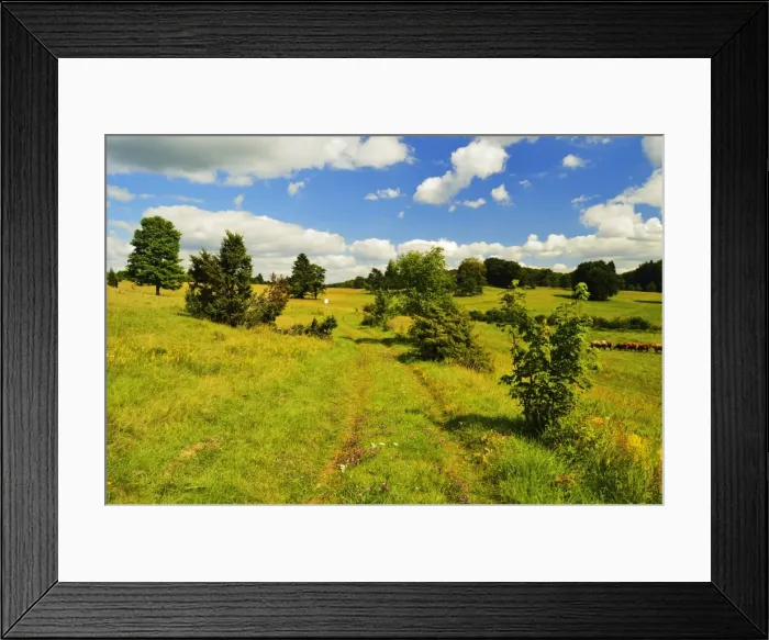 Framed Print : Albstadt-Ebingen, Swabian Alb (Swabian Alps), Baden-Wurttemberg, Germany, Europe Framed Print : Albstadt-Ebingen, Swabian Alb (Swabian Alps), Baden-Wurttemberg, Germany, Europe