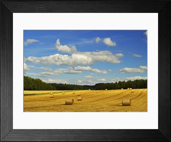 Framed Print : Rural scene, near Villingen-Schwenningen, Black Forest, Schwarzwald-Baar, Baden-Wurttemberg, Germany, Europe Framed Print : Rural scene, near Villingen-Schwenningen, Black Forest, Schwarzwald-Baar, Baden-Wurttemberg, Germany, Europe