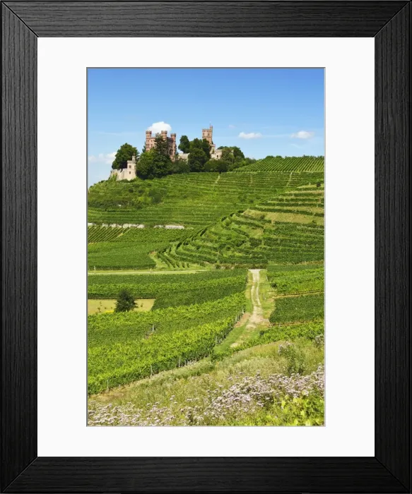 Framed Print : Ortenberg Castle, Ortenberg, Ortenau, Baden-Wurttemberg, Germany, Europe Framed Print : Ortenberg Castle, Ortenberg, Ortenau, Baden-Wurttemberg, Germany, Europe