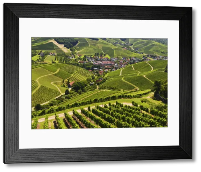 Framed Print : View of vineyards and Durbach village, Ortenau, Baden-Wurttemberg, Germany, Europe Framed Print : View of vineyards and Durbach village, Ortenau, Baden-Wurttemberg, Germany, Europe
