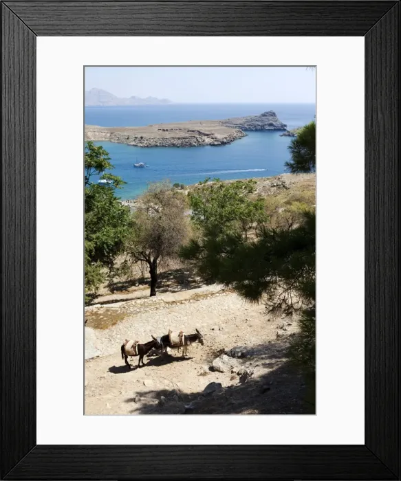 Framed Print : Two donkeys in the St. Paul Bay, Lindos, Rhodes, Dodecanese, Greek Islands, Greece, Europe Framed Print : Two donkeys in the St. Paul Bay, Lindos, Rhodes, Dodecanese, Greek Islands, Greece, Europe