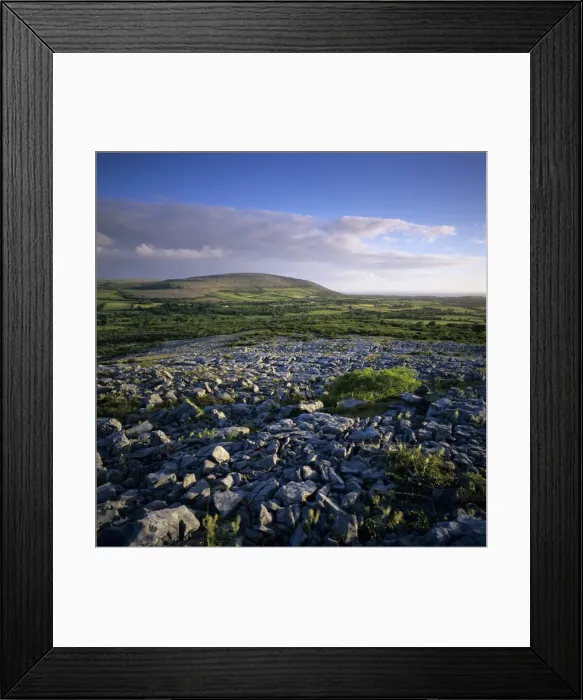 Framed Print : Limestone pavement, The Burren, County Clare, Munster, Republic of Ireland, Europe Framed Print : Limestone pavement, The Burren, County Clare, Munster, Republic of Ireland, Europe