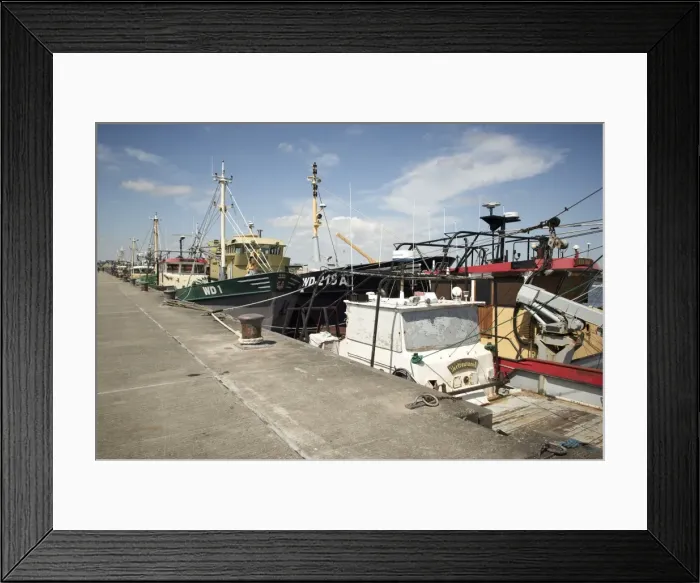 Framed Print : Fishing fleet, Wexford, Leinster, Republic of Ireland, Europe Framed Print : Fishing fleet, Wexford, Leinster, Republic of Ireland, Europe