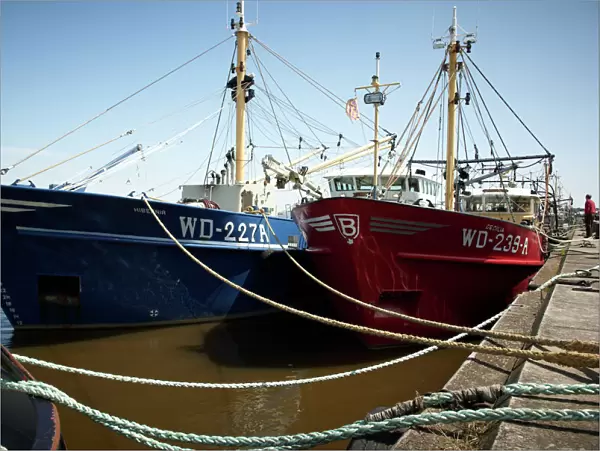 Fishing fleet, Wexford, Leinster, Republic of Ireland, Europe