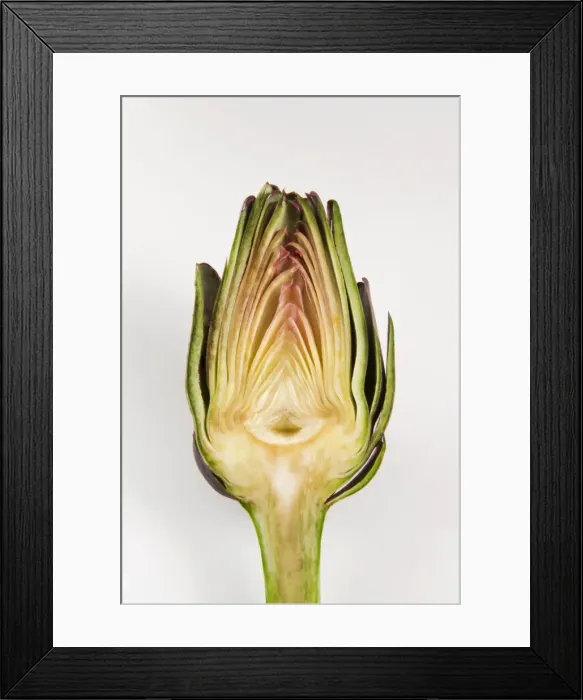 Framed Print : Half artichoke, Italy, Europe Framed Print : Half artichoke, Italy, Europe