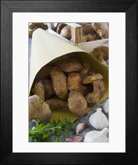 Framed Print : Ceps mushrooms (Boletus edulis) in a bag and in a wooden box, Italy, Europe Framed Print : Ceps mushrooms (Boletus edulis) in a bag and in a wooden box, Italy, Europe