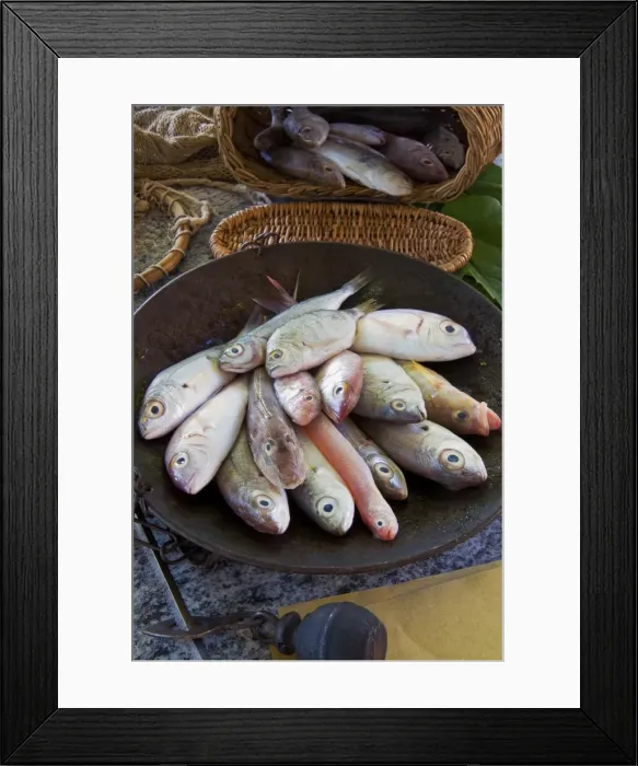 Framed Print : Steelyard balance containing Mediterranean reef fish including Salema porgy, goatfish, sea bream, tub gurnard, comber and red bandfish, Italy, Europe Framed Print : Steelyard balance containing Mediterranean reef fish including Salema porgy, goatfish, sea bream, tub gurnard, comber and red bandfish, Italy, Europe