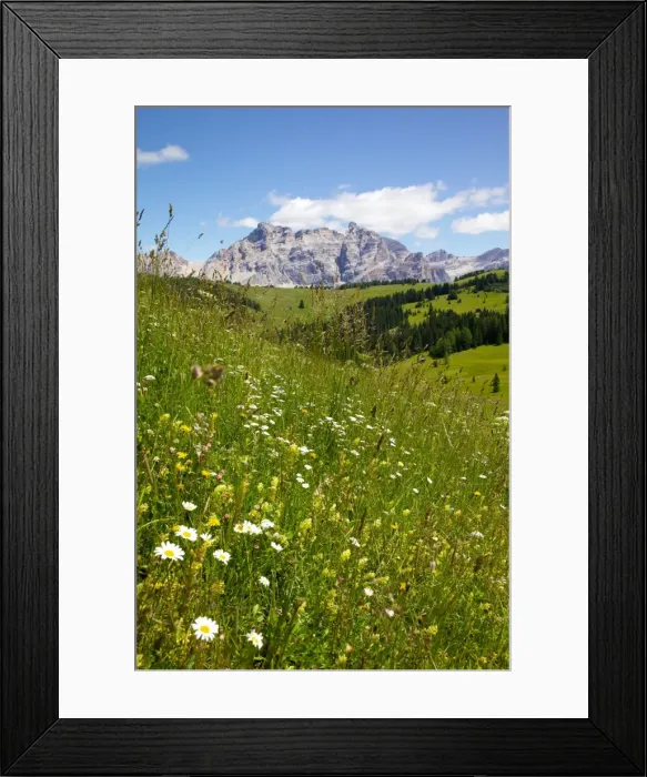 Framed Print : View from Col Alto, Corvara, Badia Valley, Bolzano Province, Trentino-Alto Adige / South Tyrol, Italian Dolomites, Italy, Europe Framed Print : View from Col Alto, Corvara, Badia Valley, Bolzano Province, Trentino-Alto Adige / South Tyrol, Italian Dolomites, Italy, Europe