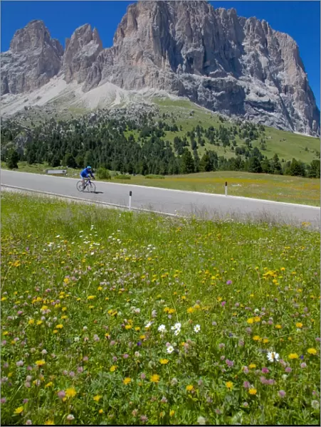 Cyclist and Sassolungo Group, Sella Pass, Trento and Bolzano Provinces, Italian Dolomites, Italy, Europe