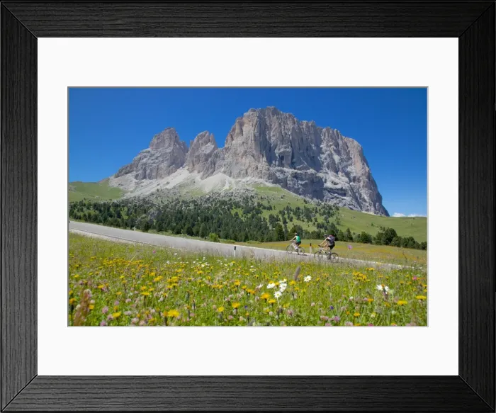 Framed Print : Cyclists and Sassolungo Group, Sella Pass, Trento and Bolzano Provinces, Italian Dolomites, Italy, Europe Framed Print : Cyclists and Sassolungo Group, Sella Pass, Trento and Bolzano Provinces, Italian Dolomites, Italy, Europe