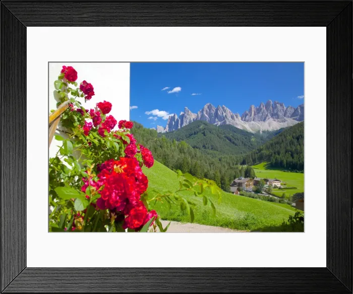 Framed Print : Roses on chalet wall, Val di Funes, Bolzano Province, Trentino-Alto Adige  /  South Tyrol, Italian Dolomites, Italy, Europe