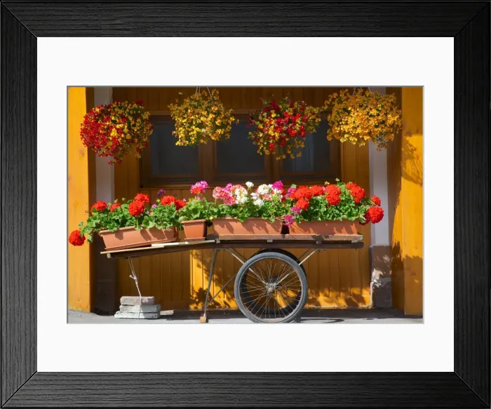 Framed Print : Flowers on trolley, Arabba, Belluno Province, Trento, Italy, Europe Framed Print : Flowers on trolley, Arabba, Belluno Province, Trento, Italy, Europe