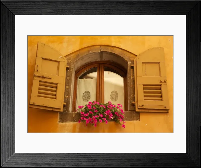 Framed Print : Shuttered window and flowers, Piazza Mercato, Belluno, Province of Belluno, Veneto, Italy, Europe Framed Print : Shuttered window and flowers, Piazza Mercato, Belluno, Province of Belluno, Veneto, Italy, Europe