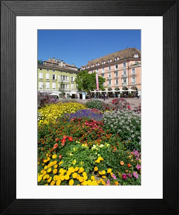 Framed Print : Walther Platz, Bolzano, Bolzano Province, Trentino-Alto Adige, Italy, Europe Framed Print : Walther Platz, Bolzano, Bolzano Province, Trentino-Alto Adige, Italy, Europe