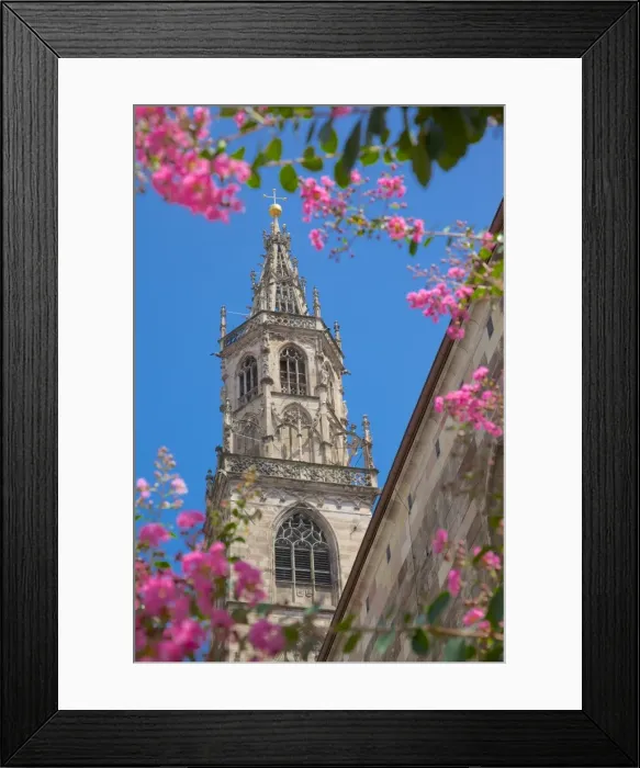 Framed Print : Duomo, Walther Platz, Bolzano, Bolzano Province, Trentino-Alto Adige, Italy, Europe Framed Print : Duomo, Walther Platz, Bolzano, Bolzano Province, Trentino-Alto Adige, Italy, Europe