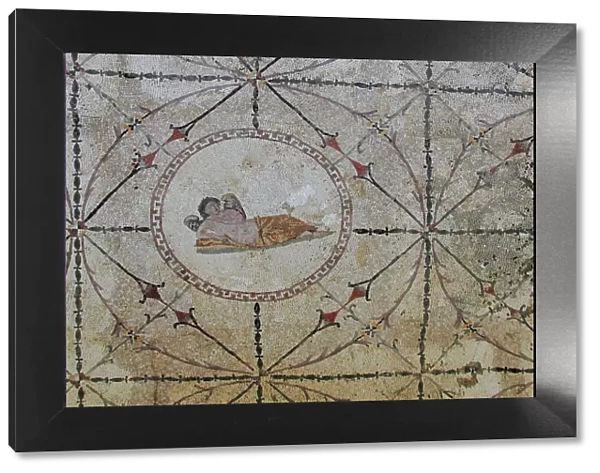 Mosaic of Hypnos, Greek god of dreams, dormitory of the Roman villa, Risan, Kotor Bay, UNESCO World Heritage Site, Montenegro, Europe