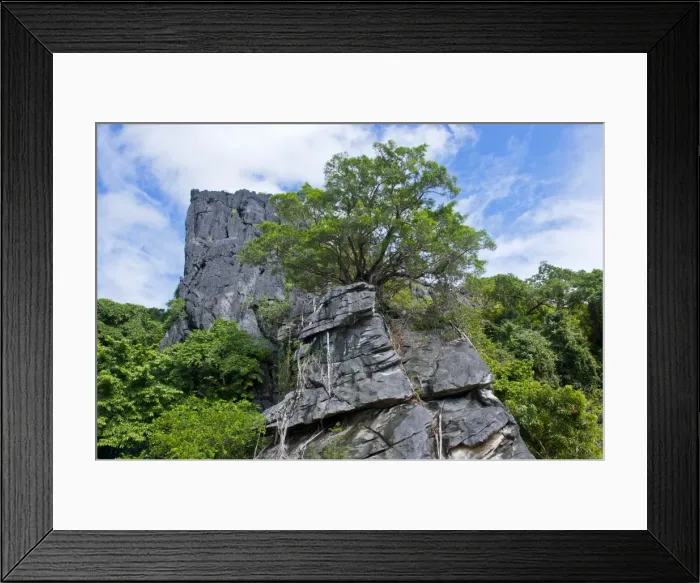 Framed Print : The Linderalique rocks in Hienghene at the east coast of Grande Terre, New Caledonia, Melanesia, South Pacific, Pacific Framed Print : The Linderalique rocks in Hienghene at the east coast of Grande Terre, New Caledonia, Melanesia, South Pacific, Pacific