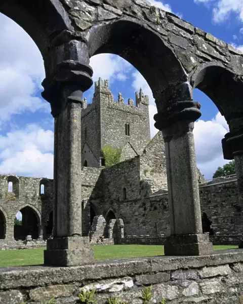 Ruins of Cistercian Jerpoint Abbey, Jerpoint, County Kilkenny, Leinster, Republic of Ireland, Europe