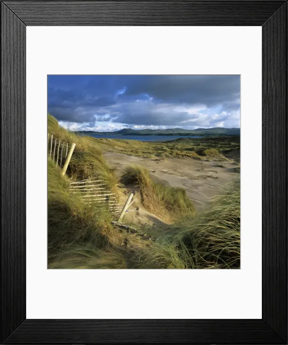 Framed Print : Sand dunes, Strandhill, County Sligo, Connacht, Repubic of Ireland, Europe Framed Print : Sand dunes, Strandhill, County Sligo, Connacht, Repubic of Ireland, Europe