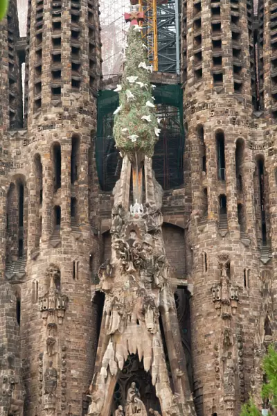 Sagrada Familia Cathedral by Gaudi, UNESCO World Heritage Site, Barcelona, Catalunya (Catalonia) (Cataluna), Spain, Europe