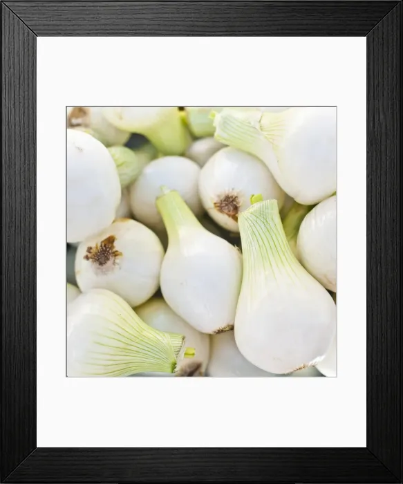 Framed Print : Onionsfor sale at the Sunday morning market. Pollenca, Tramuntana, Mallorca, Balearic Islands, Spain, Europe Framed Print : Onionsfor sale at the Sunday morning market. Pollenca, Tramuntana, Mallorca, Balearic Islands, Spain, Europe