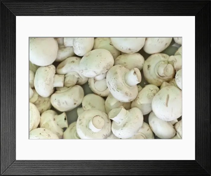 Framed Print : Mushrooms for sale at the Sunday morning market, Pollenca, Tramuntana, Mallorca, Balearic Islands, Spain, Europe Framed Print : Mushrooms for sale at the Sunday morning market, Pollenca, Tramuntana, Mallorca, Balearic Islands, Spain, Europe