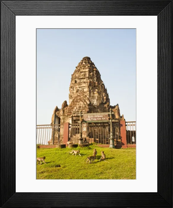 Framed Print : Monkeys playing at Phra Prang Sam Yot Buddhist Temple, Lopburi, Thailand, Southeast Asia, Asia Framed Print : Monkeys playing at Phra Prang Sam Yot Buddhist Temple, Lopburi, Thailand, Southeast Asia, Asia