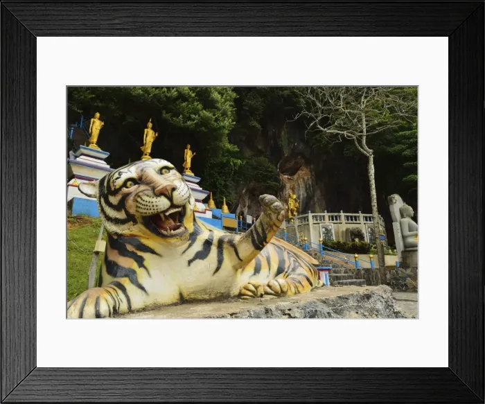 Framed Print : Tiger statue, Tiger Cave Temple (Wat Tham Suea), Krabi Province, Thailand, Southeast Asia, Asia Framed Print : Tiger statue, Tiger Cave Temple (Wat Tham Suea), Krabi Province, Thailand, Southeast Asia, Asia